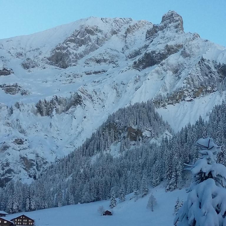 Chalet Bunderbach room 6